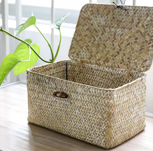 Willow Wicker Gift Box Plant Pot Case Succulent Container Flower Planter White